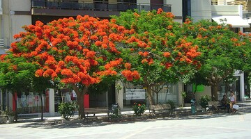 Uniwersytet Kreteński, Rethymnon, Grecja